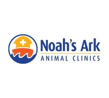 Noah’s Ark