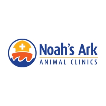 Noah’s Ark